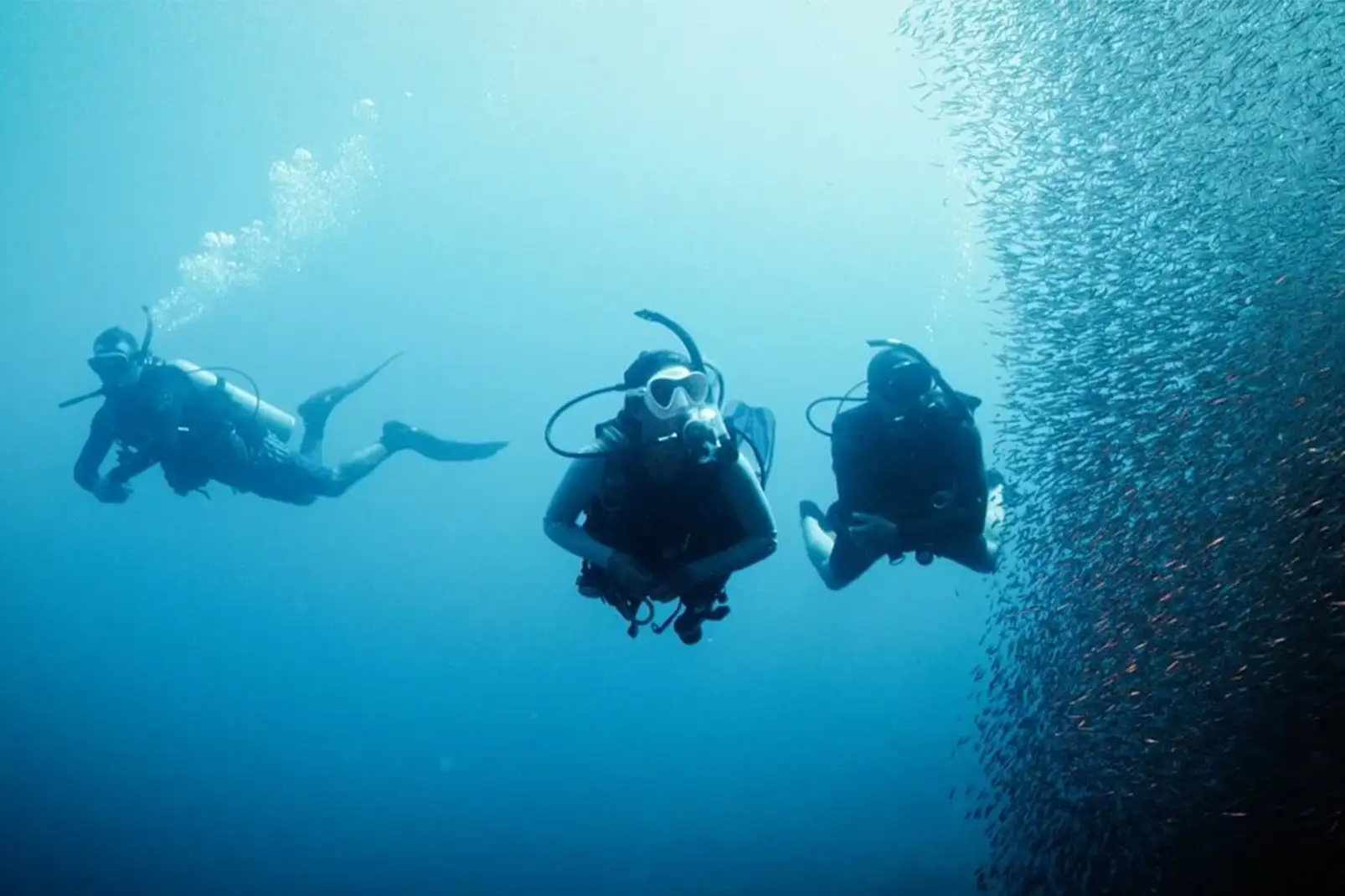 Silent Divers – ausgewähltes Titelbild